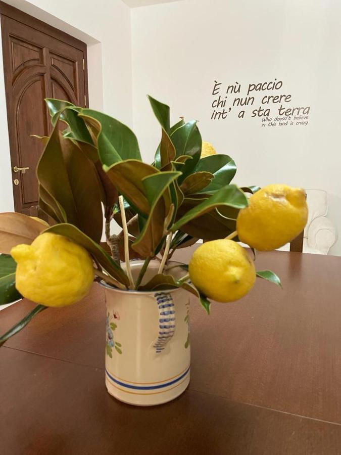 B&B Casa Letizia Trentinara Exterior foto